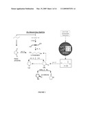 COMPOSITIONS AND METHODS FOR THE BIOSYNTHESIS OF 1,4-BUTANEDIOL AND ITS PRECURSORS diagram and image