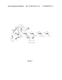 COMPOSITIONS AND METHODS FOR THE BIOSYNTHESIS OF 1,4-BUTANEDIOL AND ITS PRECURSORS diagram and image