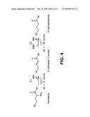 COMPOSITIONS AND METHODS FOR THE BIOSYNTHESIS OF 1,4-BUTANEDIOL AND ITS PRECURSORS diagram and image