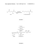 COMPOSITIONS AND METHODS FOR THE BIOSYNTHESIS OF 1,4-BUTANEDIOL AND ITS PRECURSORS diagram and image