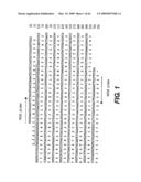 Outer membrane protein of Ehrlichia canis and Ehrlichia chaffeensis diagram and image