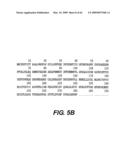 Outer membrane protein of Ehrlichia canis and Ehrlichia chaffeensis diagram and image