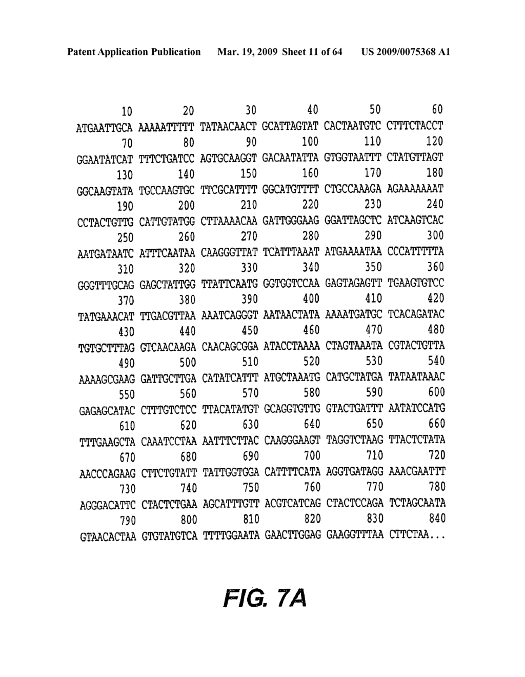 Outer membrane protein of Ehrlichia canis and Ehrlichia chaffeensis - diagram, schematic, and image 12