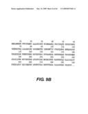 Outer membrane protein of Ehrlichia canis and Ehrlichia chaffeensis diagram and image