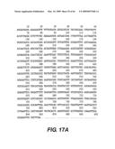 Outer membrane protein of Ehrlichia canis and Ehrlichia chaffeensis diagram and image