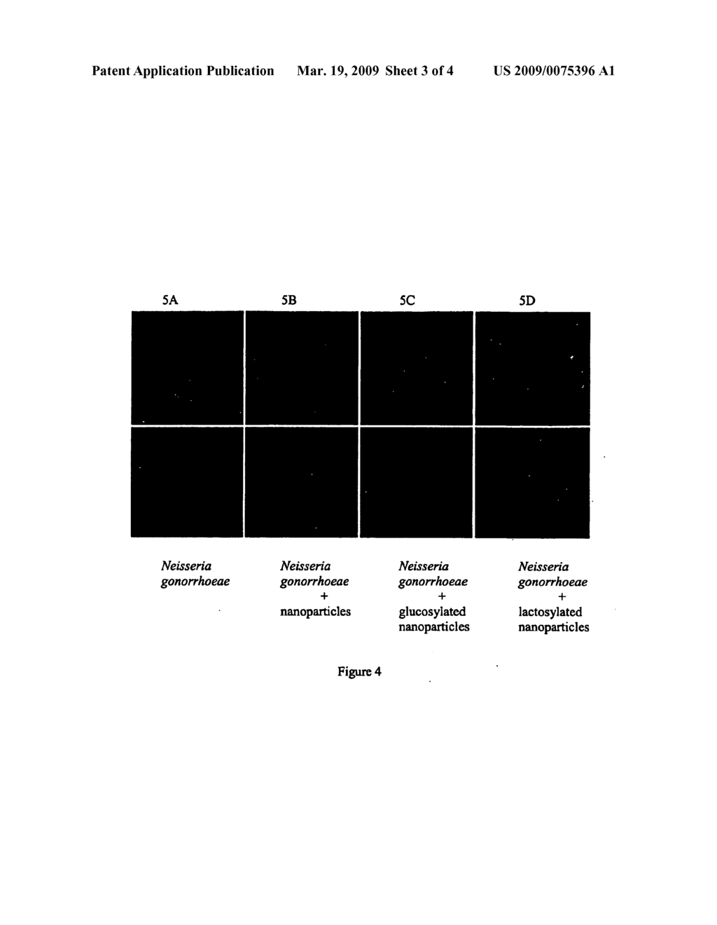 Biosensors - diagram, schematic, and image 04