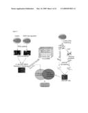 ADRB2 CANCER MARKERS diagram and image