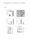 ADRB2 CANCER MARKERS diagram and image