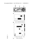 ADRB2 CANCER MARKERS diagram and image