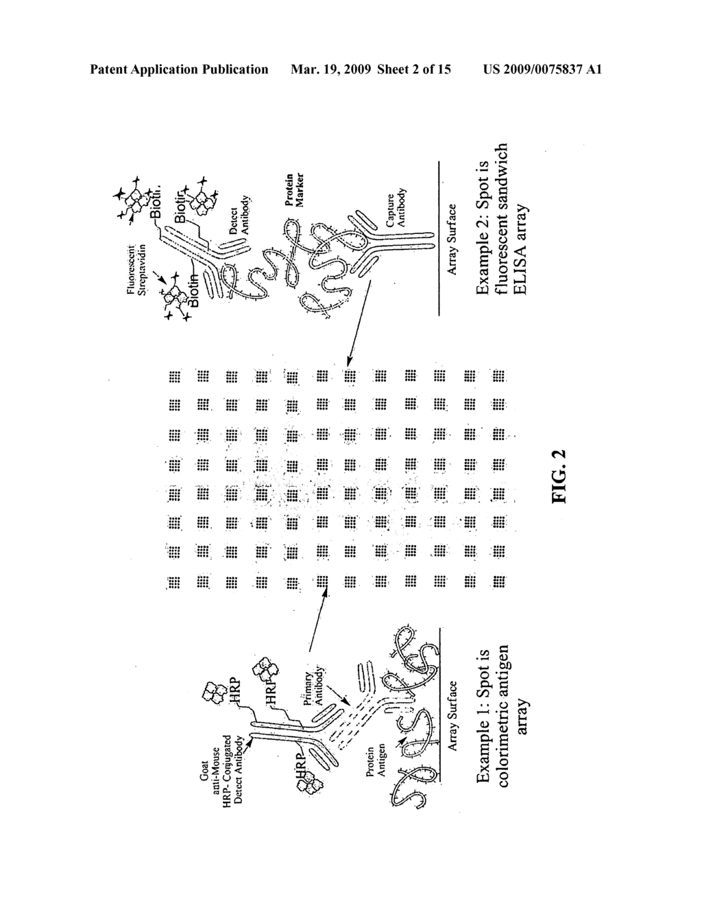 FRAMELESS MULTIPLEXED MICROARRAYS - diagram, schematic, and image 03