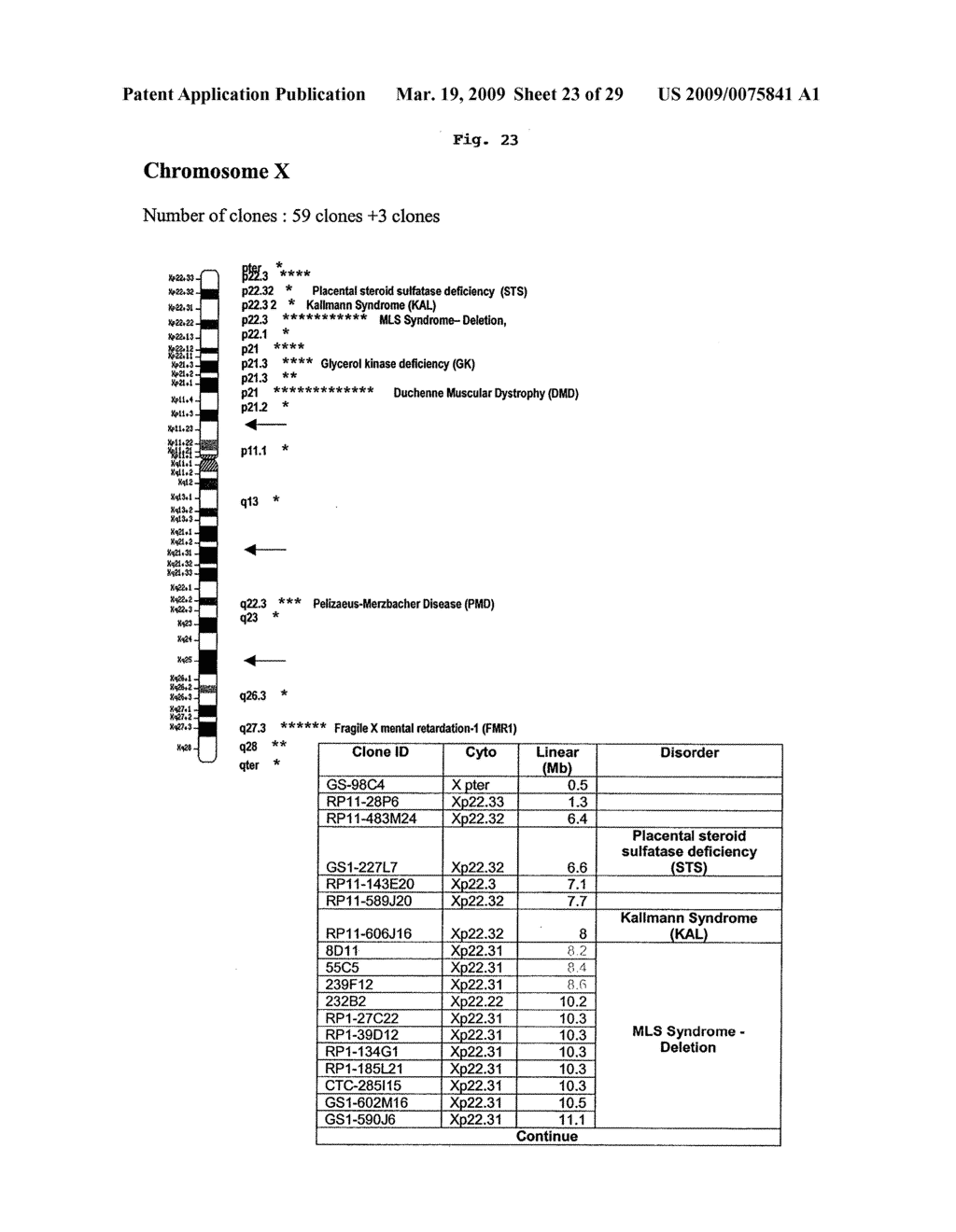 NUCLEIC ACIDS ARRAYS AND METHODS OF USE THEREFOR - diagram, schematic, and image 24