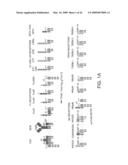 Inhibiting collagen-induced platelet aggregation and activation with peptide variants diagram and image