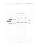 Inhibiting collagen-induced platelet aggregation and activation with peptide variants diagram and image