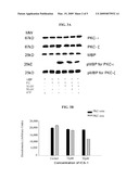 METHOD OF SELECTIVELY INHIBITING PKCiota diagram and image