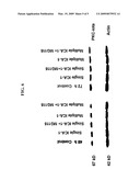 METHOD OF SELECTIVELY INHIBITING PKCiota diagram and image