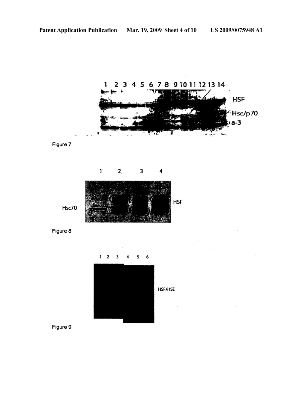 COMPOSITIONS AND METHODS FOR REGULATING CELLULAR PROTECTION - diagram, schematic, and image 05