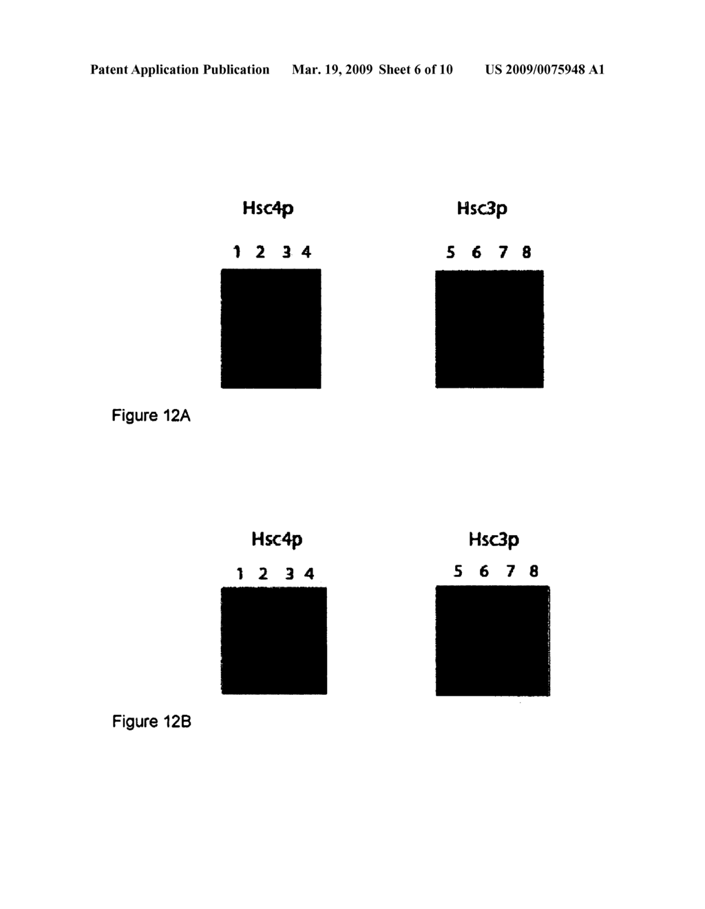 COMPOSITIONS AND METHODS FOR REGULATING CELLULAR PROTECTION - diagram, schematic, and image 07