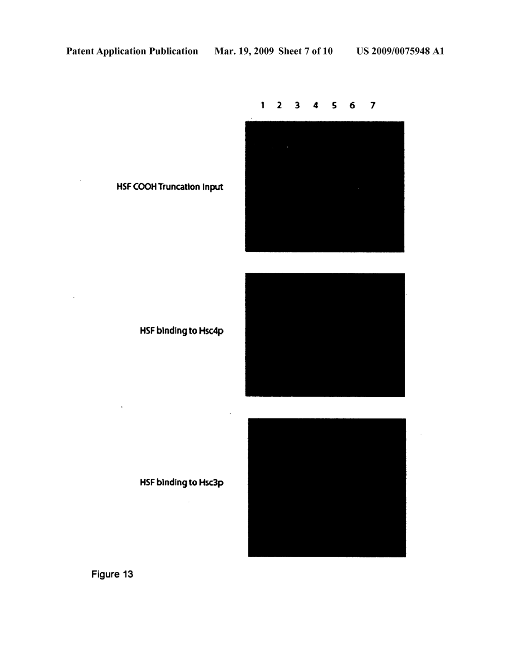 COMPOSITIONS AND METHODS FOR REGULATING CELLULAR PROTECTION - diagram, schematic, and image 08