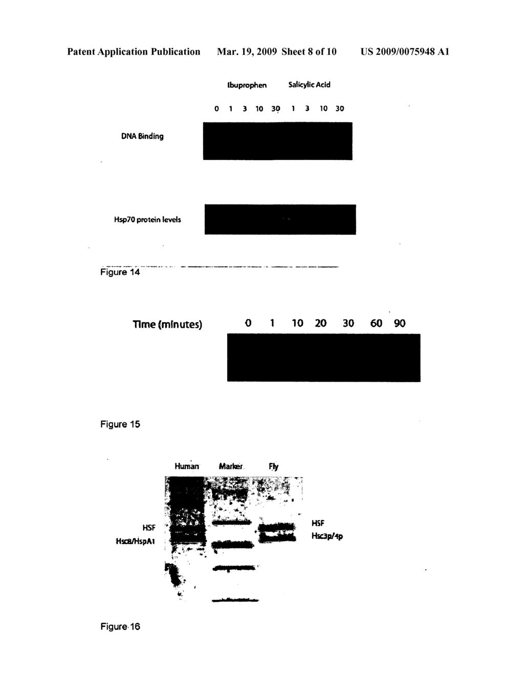 COMPOSITIONS AND METHODS FOR REGULATING CELLULAR PROTECTION - diagram, schematic, and image 09