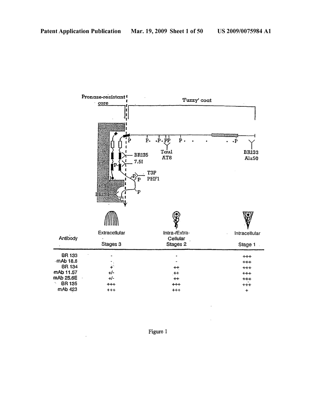 Materials and methods relating to protein aggregation in neurodegenerative disease - diagram, schematic, and image 02