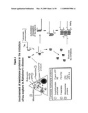 Materials and methods relating to protein aggregation in neurodegenerative disease diagram and image