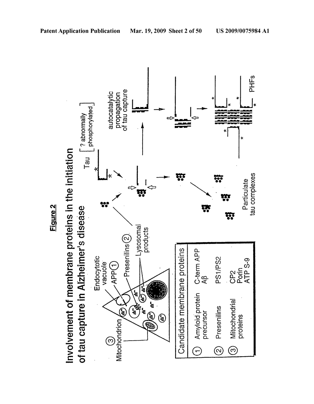 Materials and methods relating to protein aggregation in neurodegenerative disease - diagram, schematic, and image 03