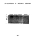 Materials and methods relating to protein aggregation in neurodegenerative disease diagram and image