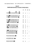 Materials and methods relating to protein aggregation in neurodegenerative disease diagram and image