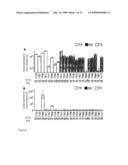 METHODS, KITS, AND COMPOUNDS FOR DETERMINING RESPONSIVENESS TO TREATMENT OF A PATHOLOGICAL DISORDER BY EPOTHILONES diagram and image