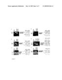 MODULATION OF EXON RECOGNITION IN PRE-MRNA BY INTERFERING WITH THE SECONDARY RNA STRUCTURE diagram and image