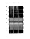 MODULATION OF EXON RECOGNITION IN PRE-MRNA BY INTERFERING WITH THE SECONDARY RNA STRUCTURE diagram and image