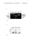 MODULATION OF EXON RECOGNITION IN PRE-MRNA BY INTERFERING WITH THE SECONDARY RNA STRUCTURE diagram and image