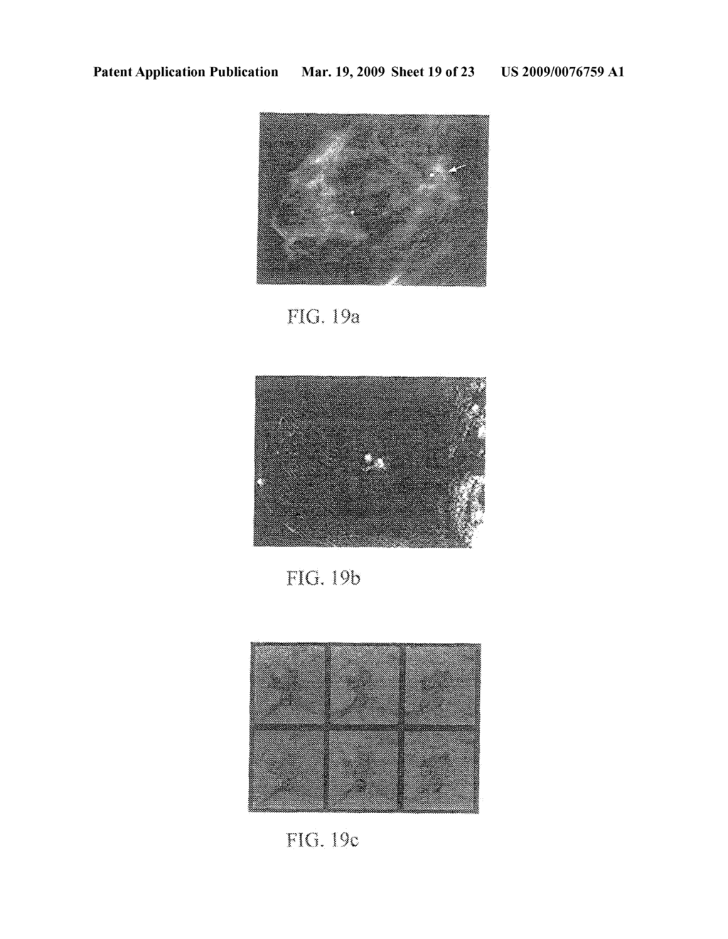 APPARATUS FOR MONITORING A SYSTEM WITH TIME IN SPACE AND METHOD THEREFOR - diagram, schematic, and image 20