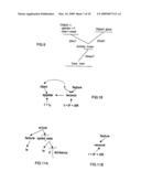 Device and method for semantic analysis of documents by construction of n-ary semantic trees diagram and image