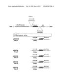 MODIFICATION OF PLANT LIGNIN CONTENT diagram and image