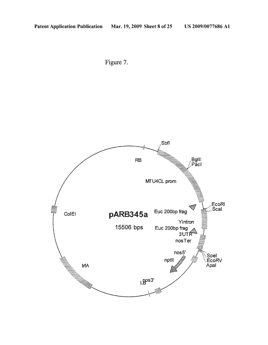 MODIFICATION OF PLANT LIGNIN CONTENT - diagram, schematic, and image 09