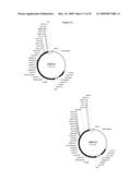 MODIFICATION OF PLANT LIGNIN CONTENT diagram and image