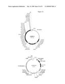 MODIFICATION OF PLANT LIGNIN CONTENT diagram and image