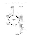 MODIFICATION OF PLANT LIGNIN CONTENT diagram and image