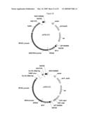 MODIFICATION OF PLANT LIGNIN CONTENT diagram and image