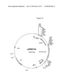 MODIFICATION OF PLANT LIGNIN CONTENT diagram and image