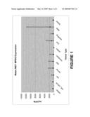 Root-Preferred Regulatory Elements diagram and image