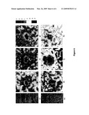 CORROSION INHIBITING PIGMENT COMPRISING NANORESERVOIRS OF CORROSION INHIBITOR diagram and image
