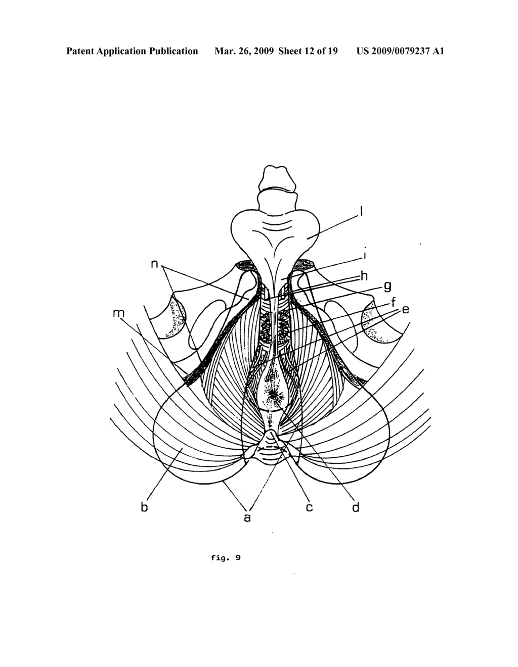 Bicycle Saddle - diagram, schematic, and image 13