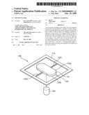 MICROACTUATOR diagram and image