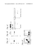 Use of Inhibitors of Indoleamine-2,3-Dioxygenase in Combination with Other Therapeutic Modalities diagram and image