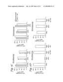 Use of Inhibitors of Indoleamine-2,3-Dioxygenase in Combination with Other Therapeutic Modalities diagram and image