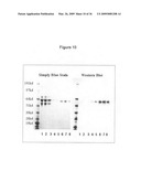 Optimized Fc variants and methods for their generation diagram and image