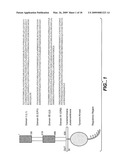 FIXED DOSING OF HER ANTIBODIES diagram and image