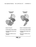 FIXED DOSING OF HER ANTIBODIES diagram and image